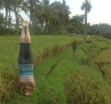 Katie Sauer practicing yoga last year in a rice field in Bali.