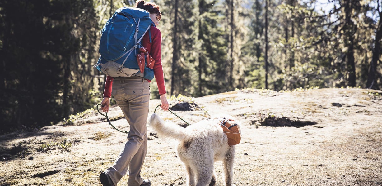 New CU Anschutz course teaches Wilderness Emergency Canine Care CU