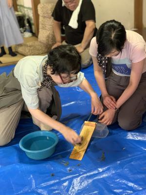 Five questions for Stephanie Su