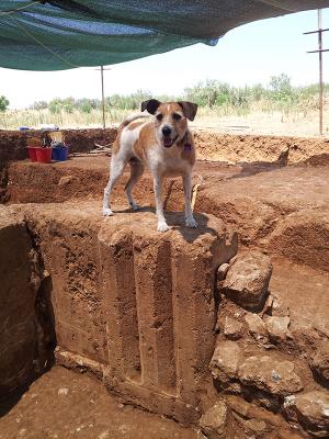 James' dog Holly atop an architectural fragment found during excavations at Sikyon.
