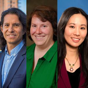 Chavez, White, Yoo elected Faculty Council officers