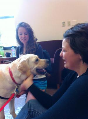 Therapy dogs take some of the bark and bite out of finals week