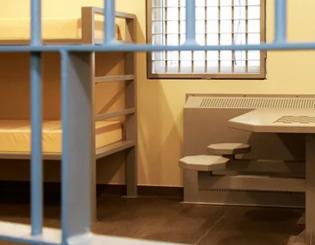 Incarcerated populations and health care: Myths and facts 