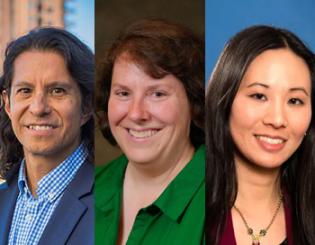 Chavez, White, Yoo elected Faculty Council officers