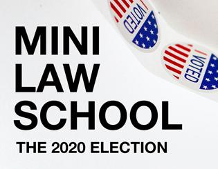 Mini-Law School
