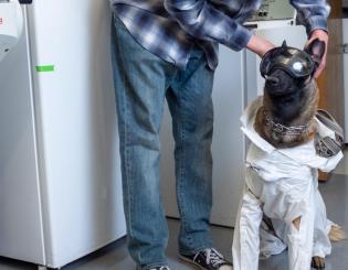 Xenna the service dog helps Navy vet do laboratory research  