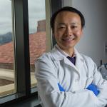 BioFrontiers’ Yin seeks drug that can stop inflammation in nervous system