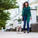 Study: To keep pounds off, consider walking the dog