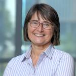 De Jong selected as associate dean for research and faculty affairs 