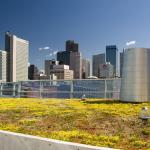 Denver’s rooftops are going green: What does it mean?
