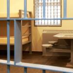 Incarcerated populations and health care: Myths and facts 