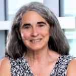 Kovacs receives Legacy Award from Society for Leukocyte Biology