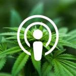 Podcast: Modern marijuana: How the bud business is changing with legalization