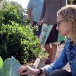 The scientific reasons you should resolve to start gardening in 2023 