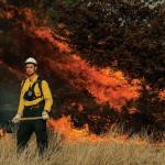 Megafire: The too-bright future of wildfire in America 