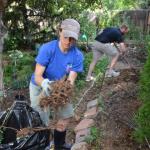 Staff, faculty donate time, talent through Student Affairs Service Days