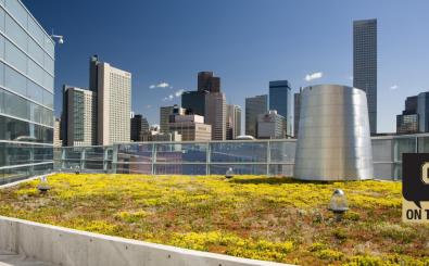 Denver’s rooftops are going green: What does it mean?