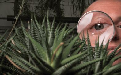 Emeritus profs Bock, Norris use plant science to help solve murders