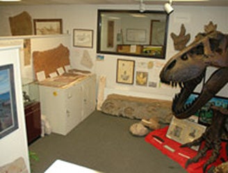 Dinosaur museum making tracks for Boulder