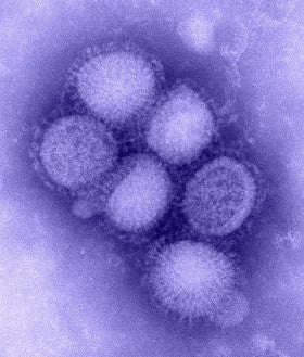 H1N1_flu_blue