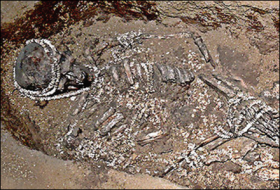 Study: Early human burial practices varied widely