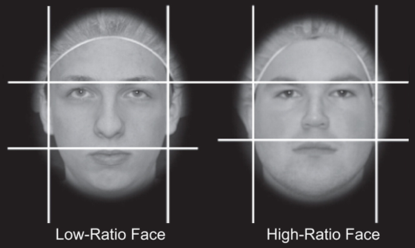 Facial structure predicts goals, fouls among World Cup soccer players